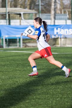 Bild 135 - wBJ Hamburger SV - Hertha BSC : Ergebnis: 2:1